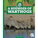 A Sounder of Warthogs