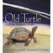 Old Turtle and the Broken Truth