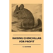 Raising Chinchillas For Profit