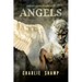 Angels: A Biblical School of Living Light