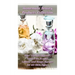 Homemade Beauty Products Collection: Over 100 DIY Organic, Toxic-Free Scrubs, Lotions and Soaps Recipes for All Skin Types: (Soap Making, Body Scrubs,