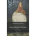Norwegian Fairy Tales 2: The boy and the northern wind, The three Billy Goats Bruse, White-Bear-King Valemon, Heming and Gyvri and local lores