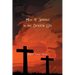 How to Succeed in the Christian Life
