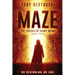 Maze: The Essence of Sunny Grimm (A Cyberpunk Thriller)