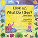 Look Up, What Do I See? God's Wonderful Creation