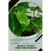 Burle Marx Philodendron: Plant Guide