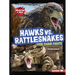 Hawks vs. Rattlesnakes: Food Chain Fights
