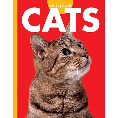 Curious about Cats