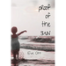 Proof of the Sun