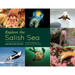Explore the Salish Sea: A Nature Guide for Kids