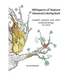 Whispers of Nature Advanced Coloring Book: masked nymphs and other ethereal beings (for adults)