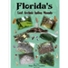 Florida's Lost Archaic Indian Mounds