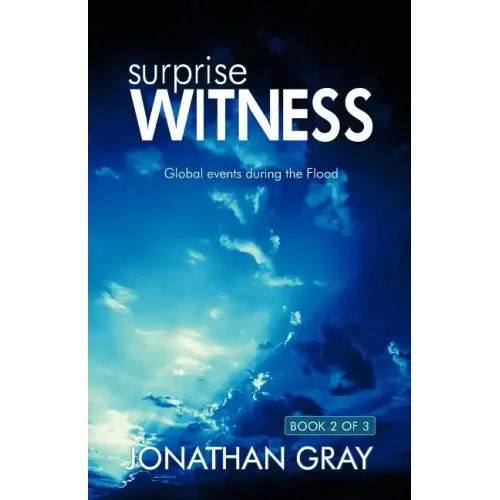 The Surprise Witness