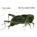 The Very Quiet Cricket
