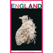 England. Tim Crouch