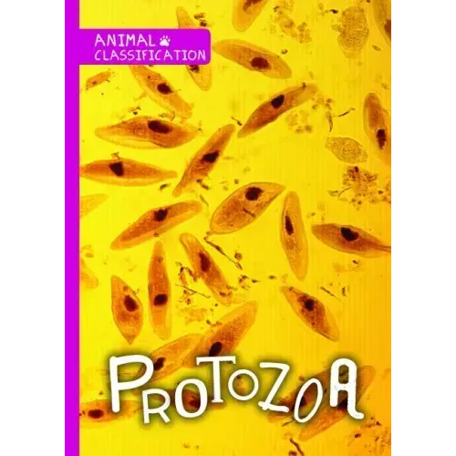 Protozoa