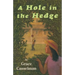 A Hole in the Hedge