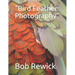 Bird Feather Photography
