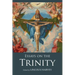 Essays on the Trinity