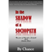 In the SHADOW of a SOCIOPATH: My Years of Hell with a Sociopath AKA Sadistic Abuser