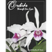 Orchids Through Our Eyes
