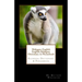 Malagasy-English English-Malagasy Dictionary & Phrasebook
