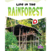 Life in the Rainforest
