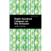 Eight Hundred Leagues on the Amazon