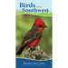Birds of the Southwest: Your Way to Easily Identify Backyard Birds