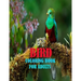 Bird Coloring Book For Adults: 50 amazing and unique bird coloring page of parrot, penguin, owl, eagle, peacock, hummingbird, pigeon and more birds f