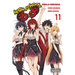 High School DXD, Vol. 11