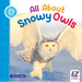 All about Snowy Owls