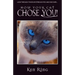 How Your Cat Chose You