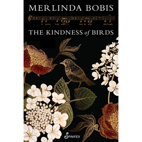 The Kindness of Birds