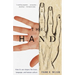 The Hand: How Its Use Shapes the Brain, Language, and Human Culture