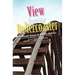 View from the Rollercoaster: Unsteady Essays & Bipolar Bylines