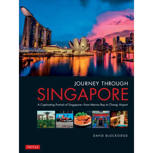 Journey Through Singapore: A Captivating Portrait of Singapore - From Marina Bay to Changi Airport