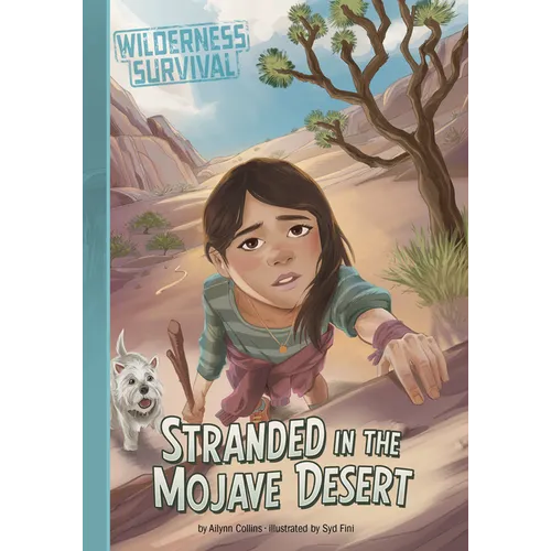 Stranded in the Mojave Desert