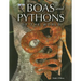 Boas and Pythons of the World
