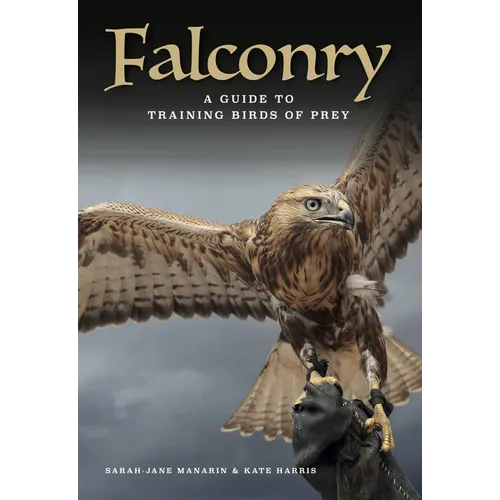 Falconry: A Guide to Training Birds of Prey