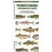 Pennsylvania Freshwater Fishes: A Folding Pocket Guide to Native and Introduced Species