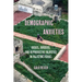 Demographic Anxieties: Bodies, Borders, and Reproductive Injustice in Palestine/Israel Volume 17