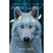 Spirit Guide: Mysterious adventure to a new home