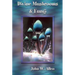Divine Mushrooms and Fungi