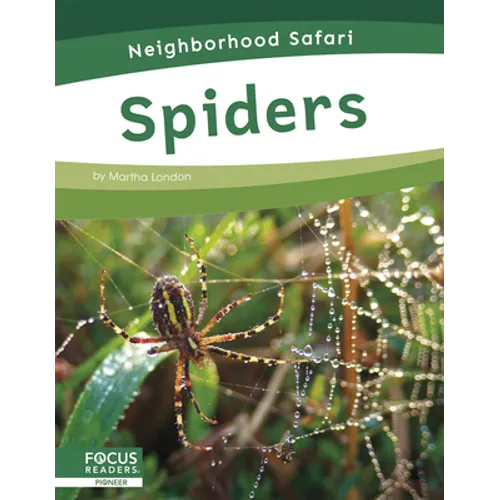 Spiders