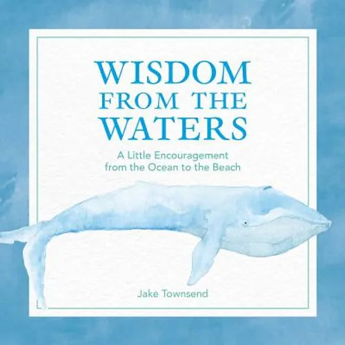 Wisdom from the Waters: A Little Encouragement from the Ocean to the Beach