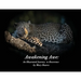 Awakening Awe: An Illustrated Journey to Reverence