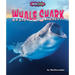 Whale Shark