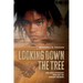 Looking Down the Tree: The Evolutionary Biology of Human Origins