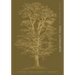 Northwest Trees